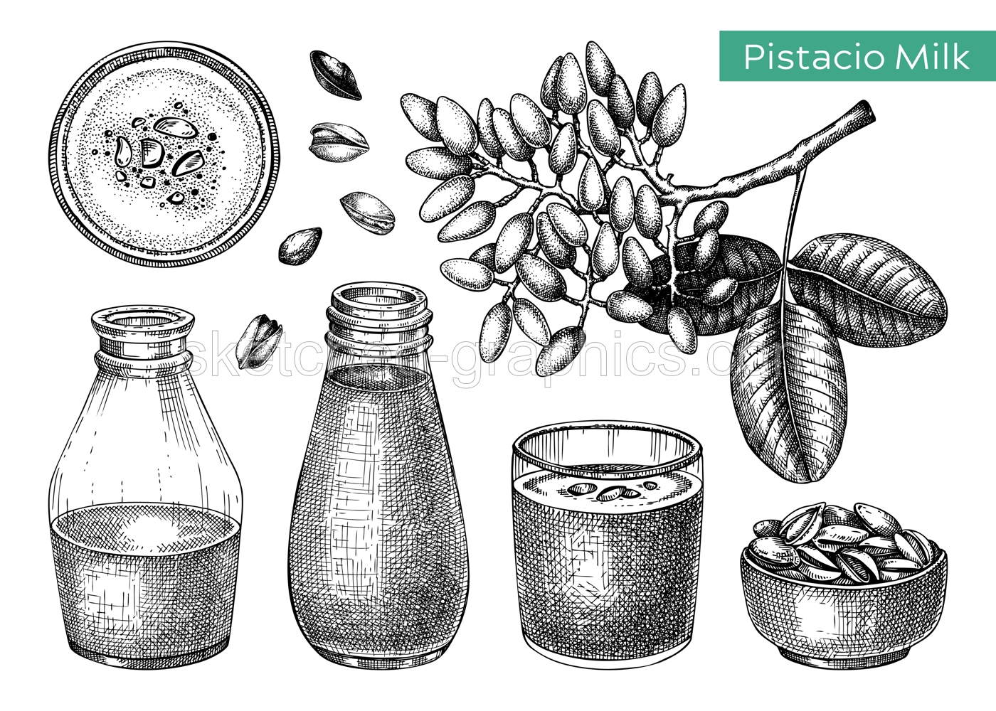 Pistachio milk sketches set. Hand drawn organic dairy protein products for vegetarians. Vector illustrations of pistachio plant branch, nuts in bowls, milk in glass bottles. Healthy food and drinks Illustration
